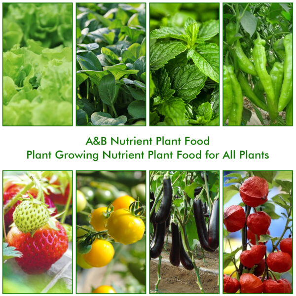 Grownest Plant Food (A + B Set)